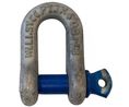 Shackle, D, Screw Pin, 1.5t, Alloy Steel